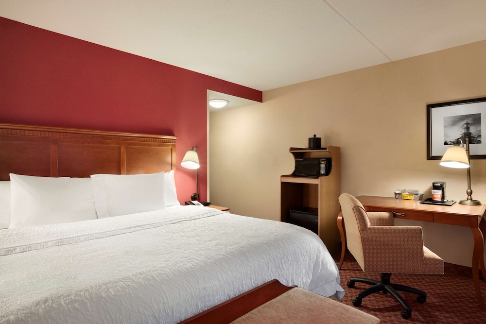 Studio, 1 King Bed, Accessible, Non Smoking (Roll-in Shower) - Photo 3