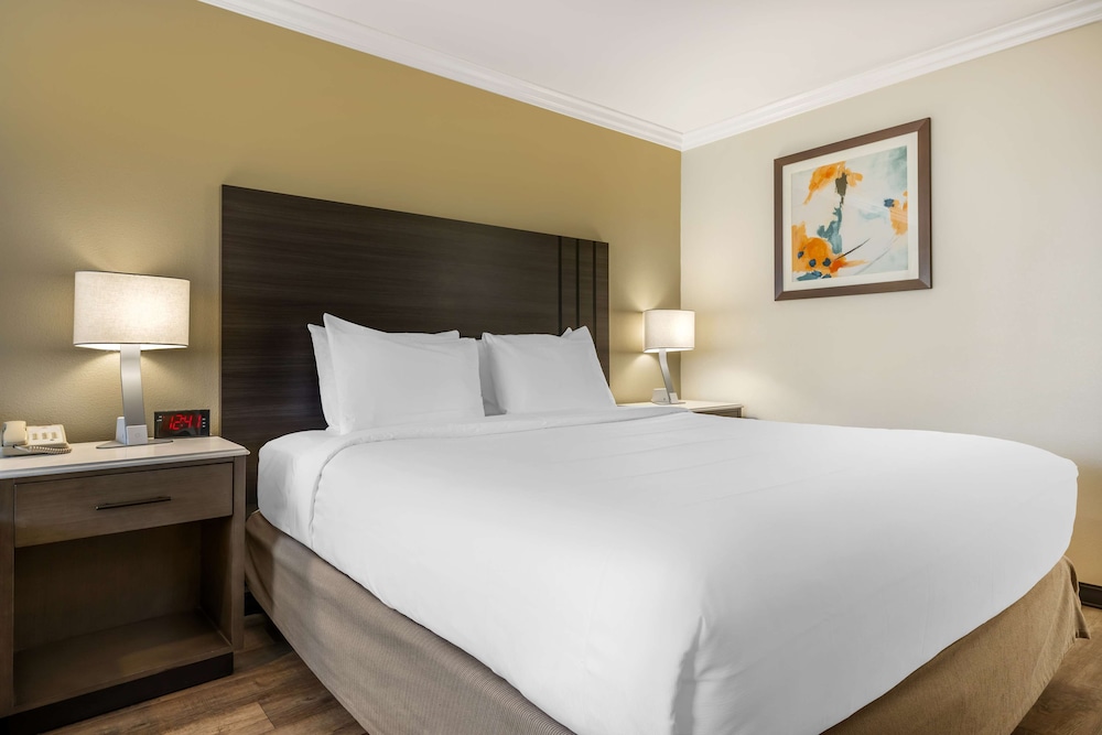 Business Room, 1 King Bed, Non Smoking, Microwave - Photo 2