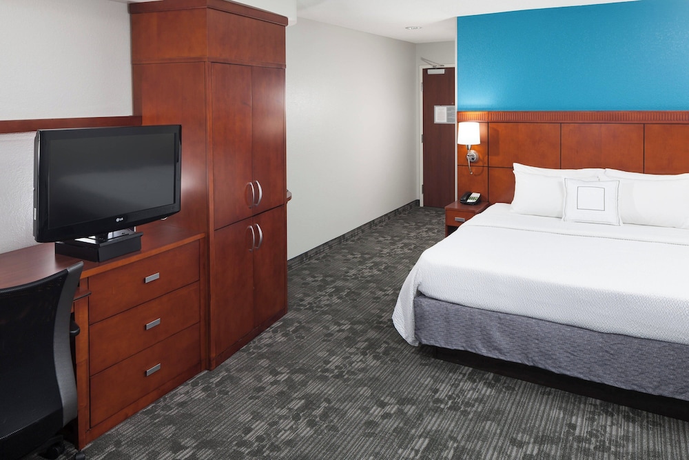 Room, 1 King Bed with Sofa bed (Mobility/Hearing Access, Roll-In Shwr) - Photo 1