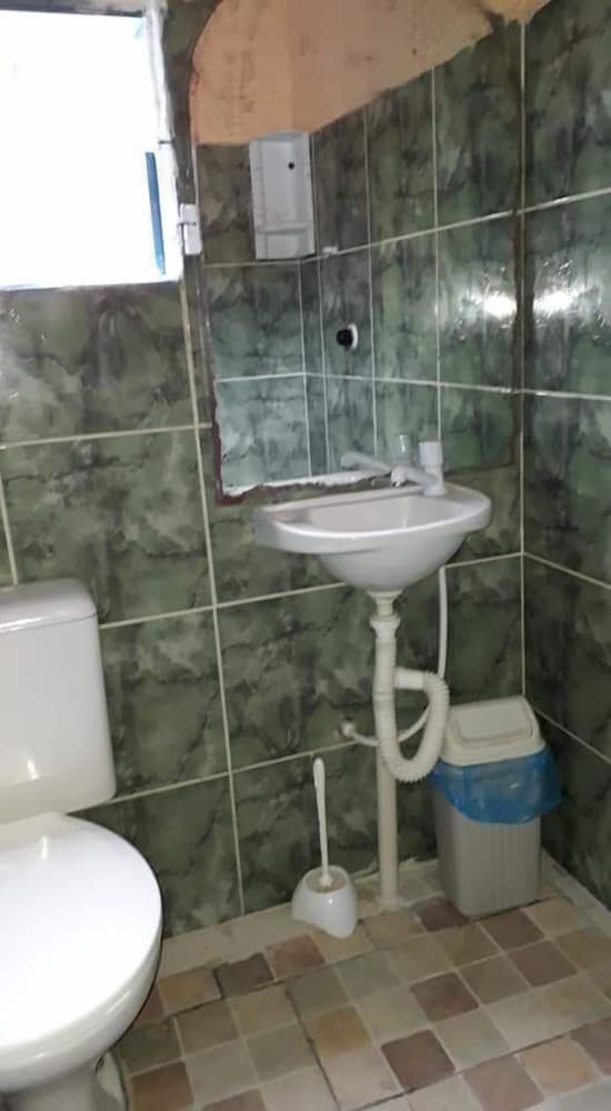 Árvore Da Preguiça photo 3