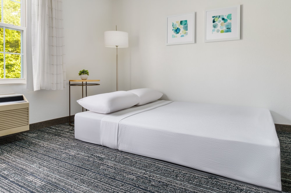Studio, 1 Queen Bed with Sofa bed (Mobility Accessible, Roll-In Shower) - Photo 2
