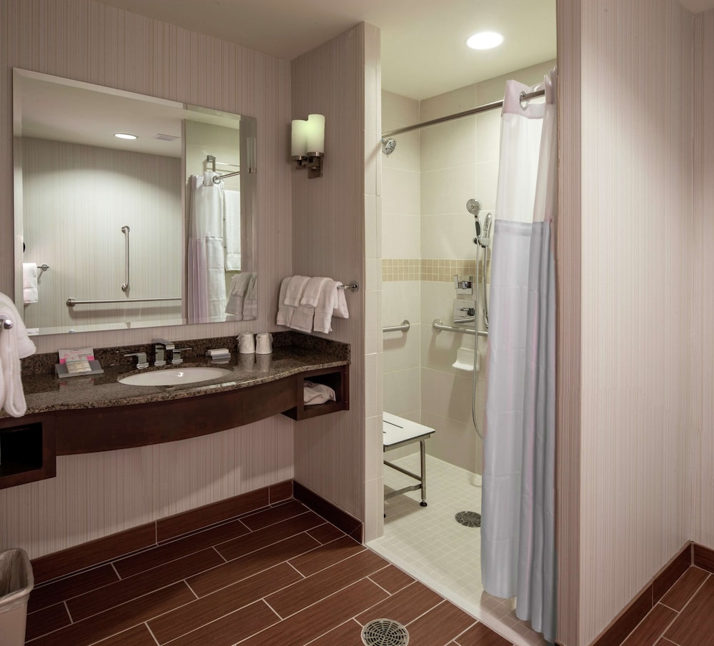 Room, 1 King Bed, Accessible, Non Smoking (Roll-in Shower) photo 3