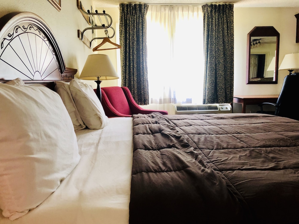 Suite, 1 King Bed photo 2
