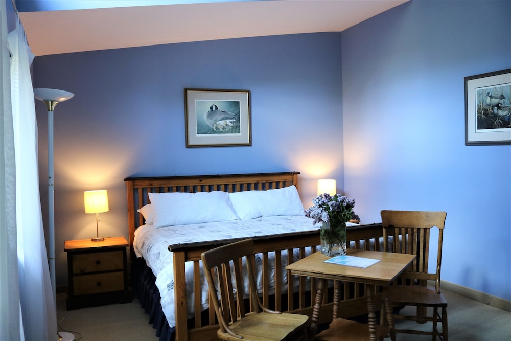 Goose Bay- King Room photo 3