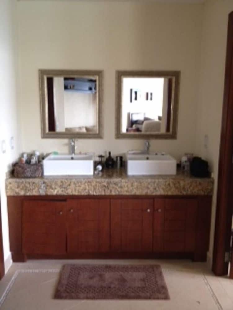 Palmetto 408 photo 2