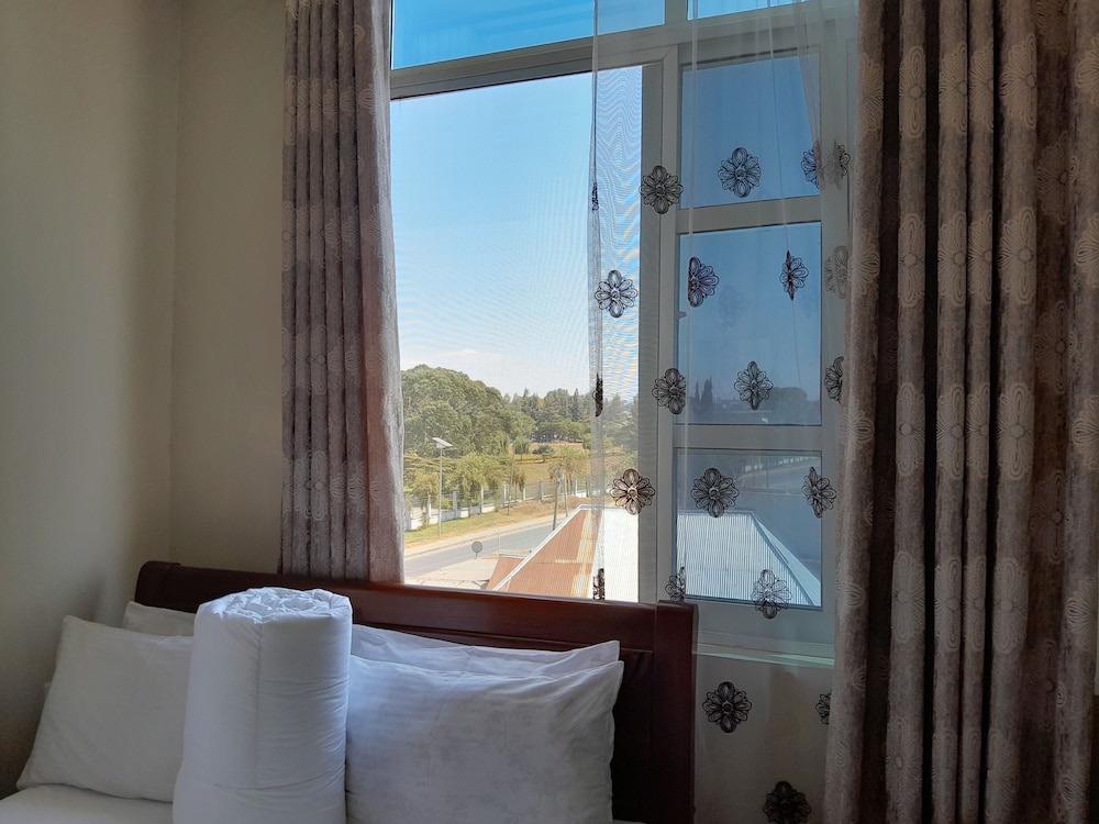 Deluxe Double Room, City View photo 3
