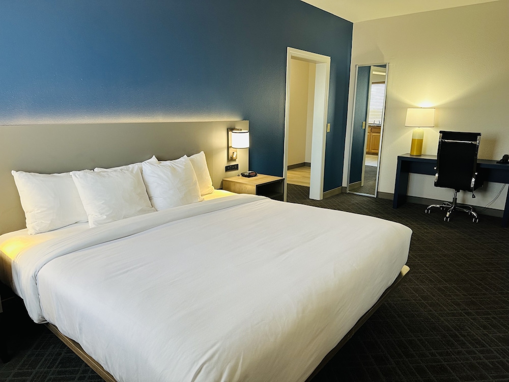 Executive Studio Suite photo 2