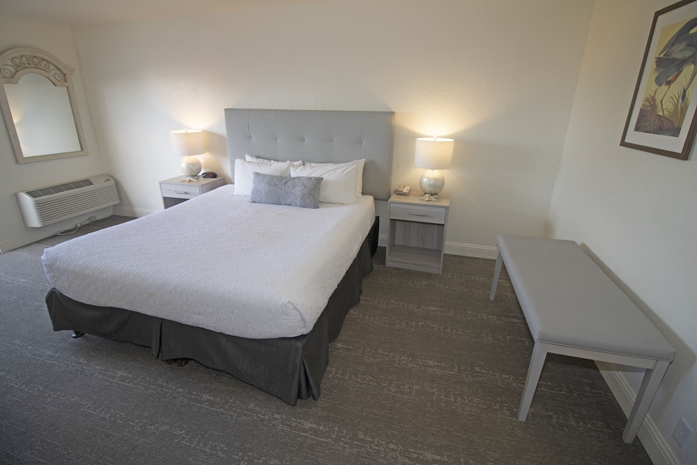 Standard Room, 1 King Bed, Non Smoking - Photo 1