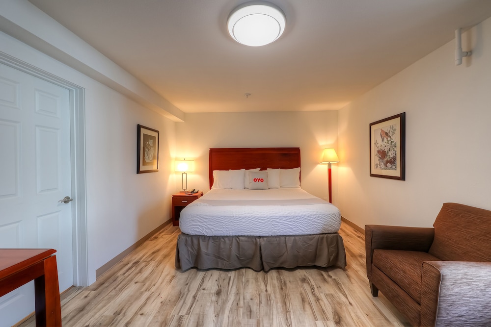Room, 1 King Bed - Photo 1