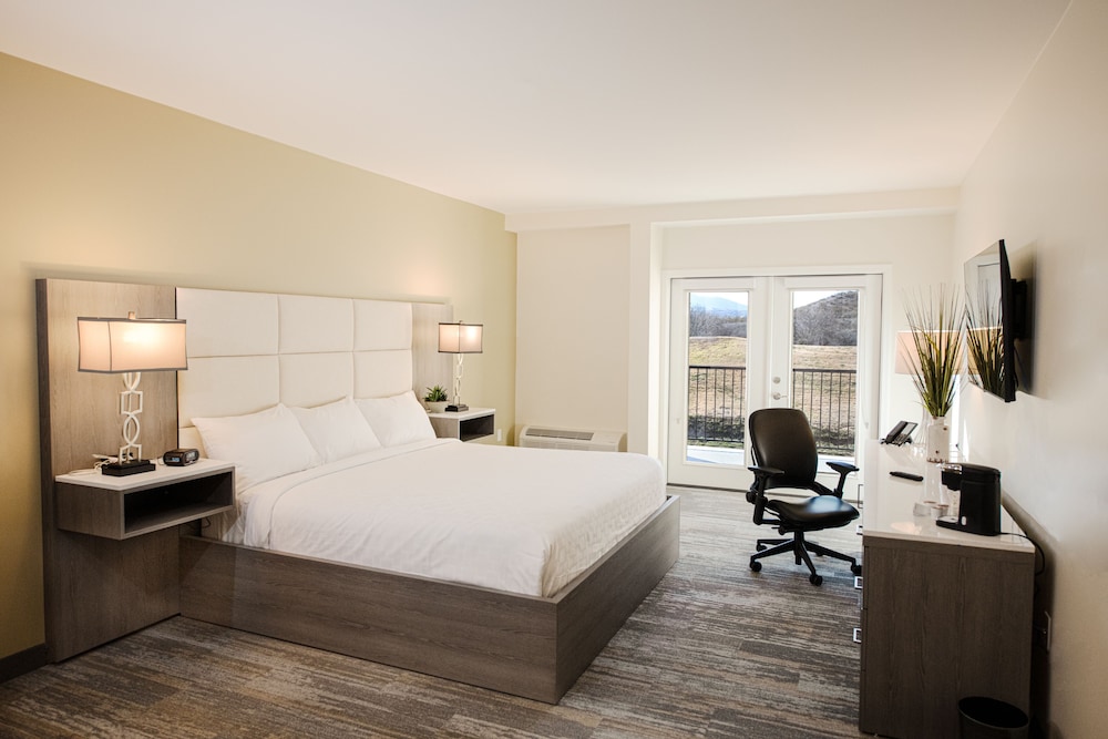 Deluxe Room, 1 King Bed (Balcony or Patio) photo 1