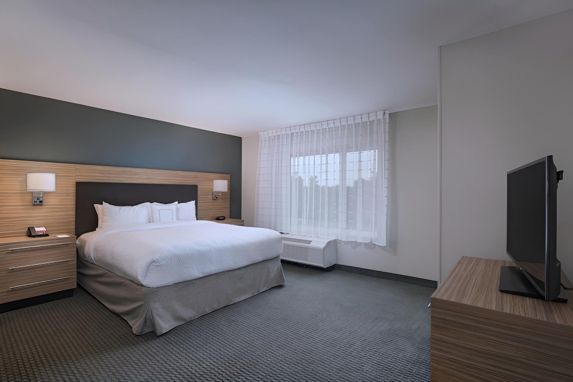 Suite, 1 Bedroom photo 3