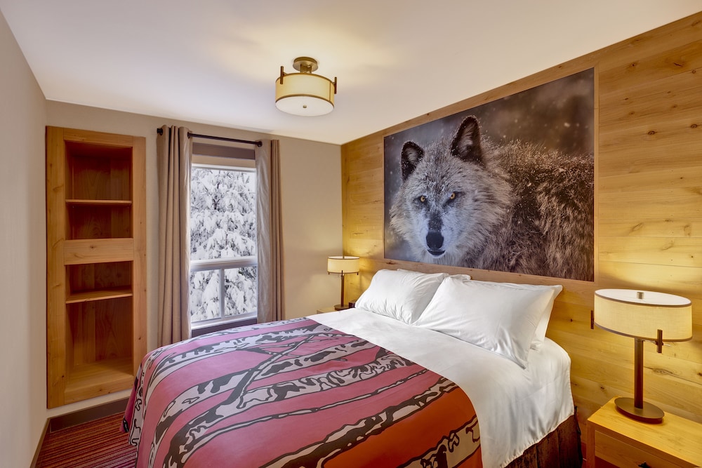 Suite (One Bedroom Wolf) - Photo 1