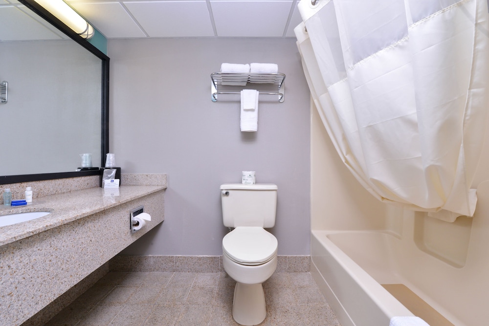 Suite, 1 King Bed, Non Smoking, Jetted Tub - Photo 5