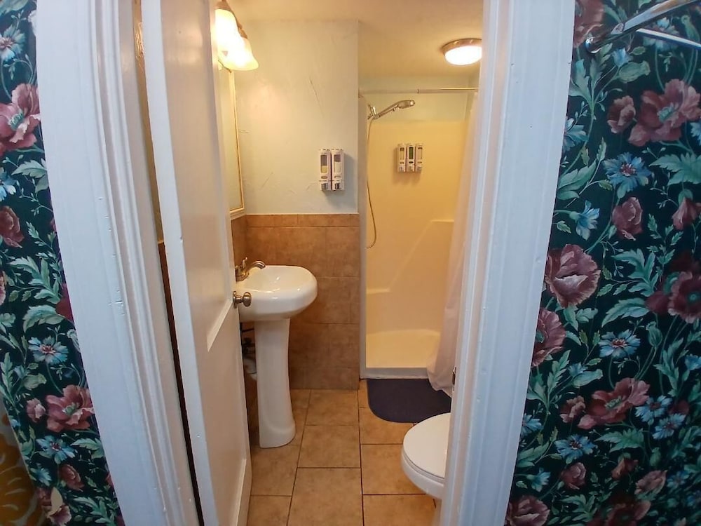 Deluxe Single Room, 1 King Bed photo 3