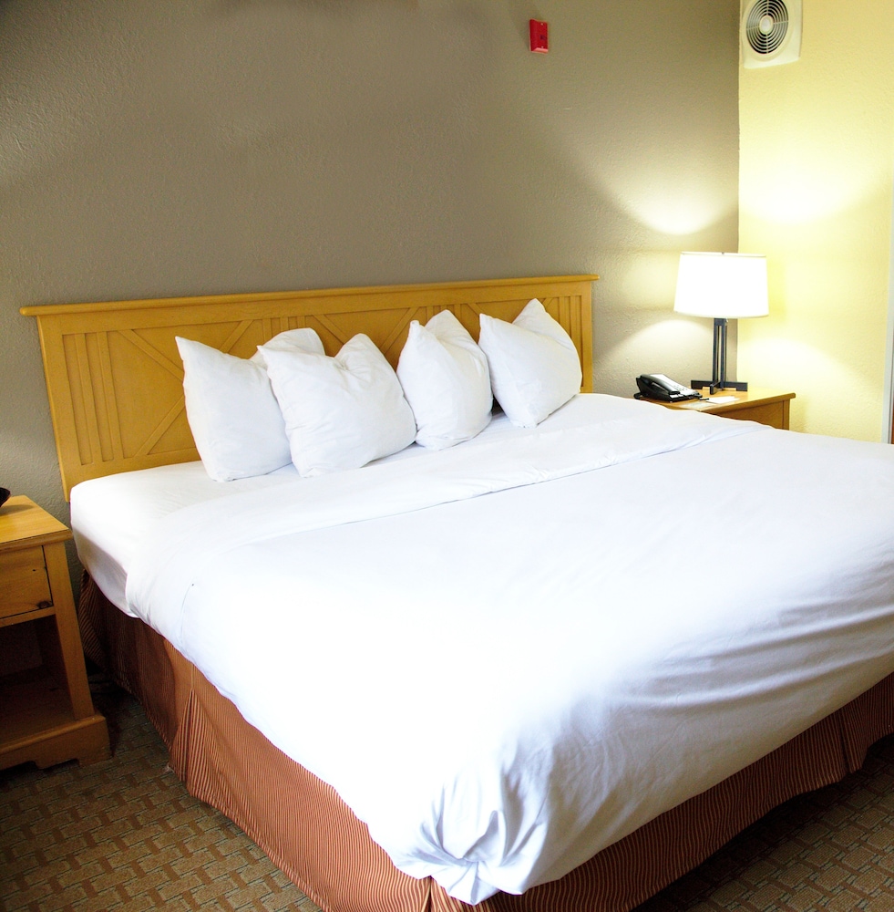 Room, 1 King Bed, Accessible, Non Smoking - Photo 3