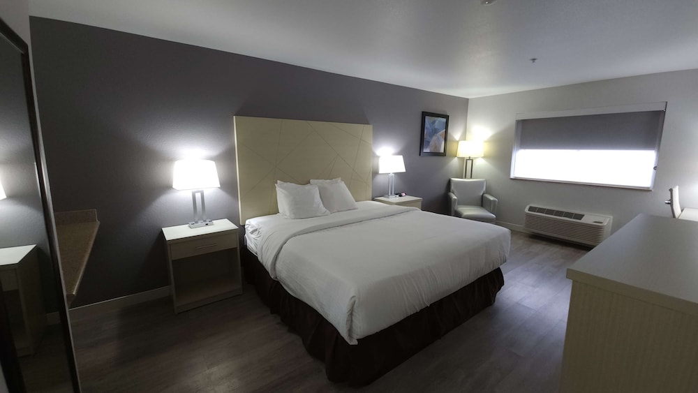 Standard Room, 1 King Bed, Non Smoking, Refrigerator & Microwave - Photo 4
