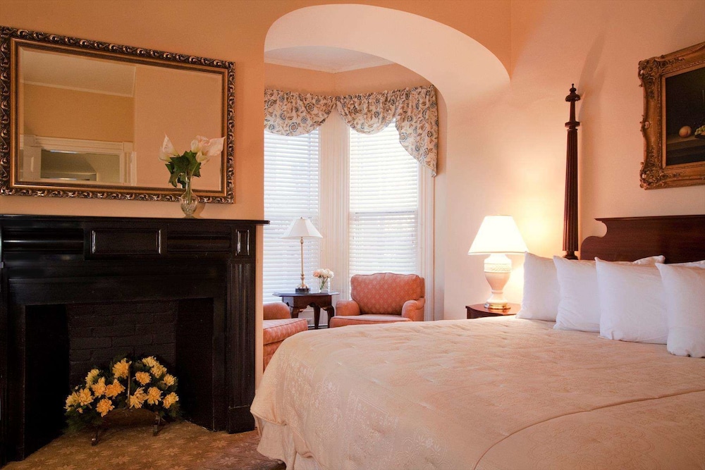 Suite - Photo 1
