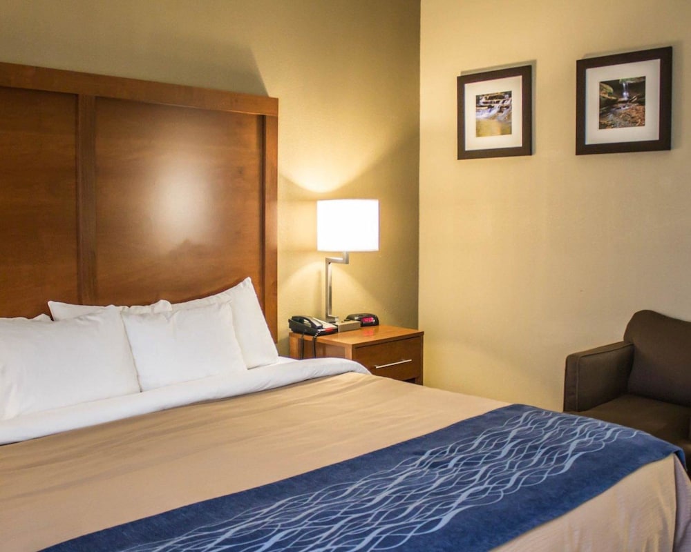 Standard Room, 1 King Bed with Sofa bed, Non Smoking photo 2