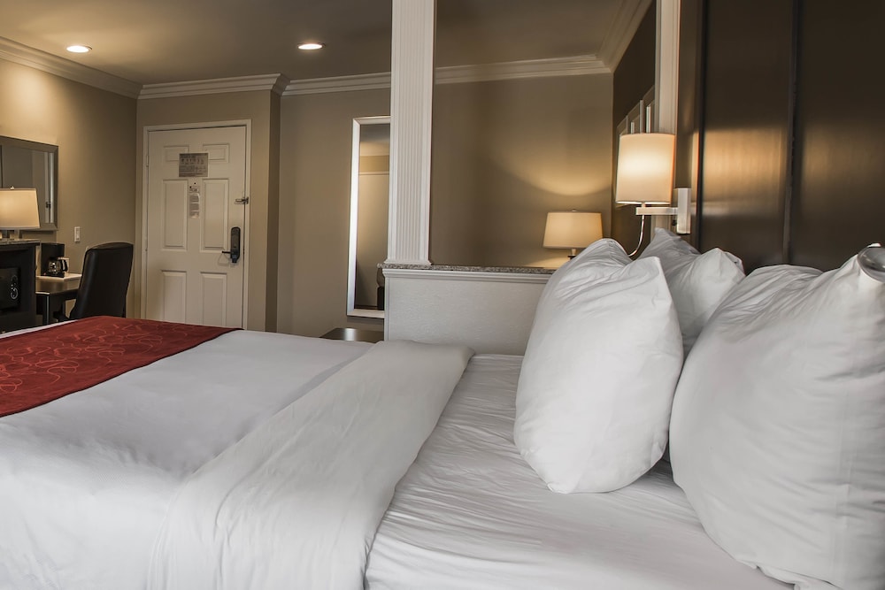 Suite, 1 King Bed with Sofabed, Accessible Roll-In Shower, Non Smoking - Photo 2