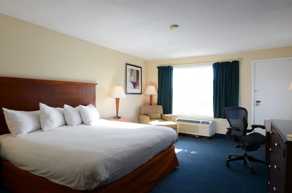 Standard Room, 1 King Bed, Partial Ocean View photo 3