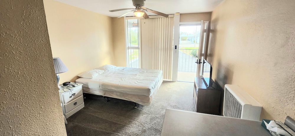 Comfort Studio, 1 Queen Bed photo 3