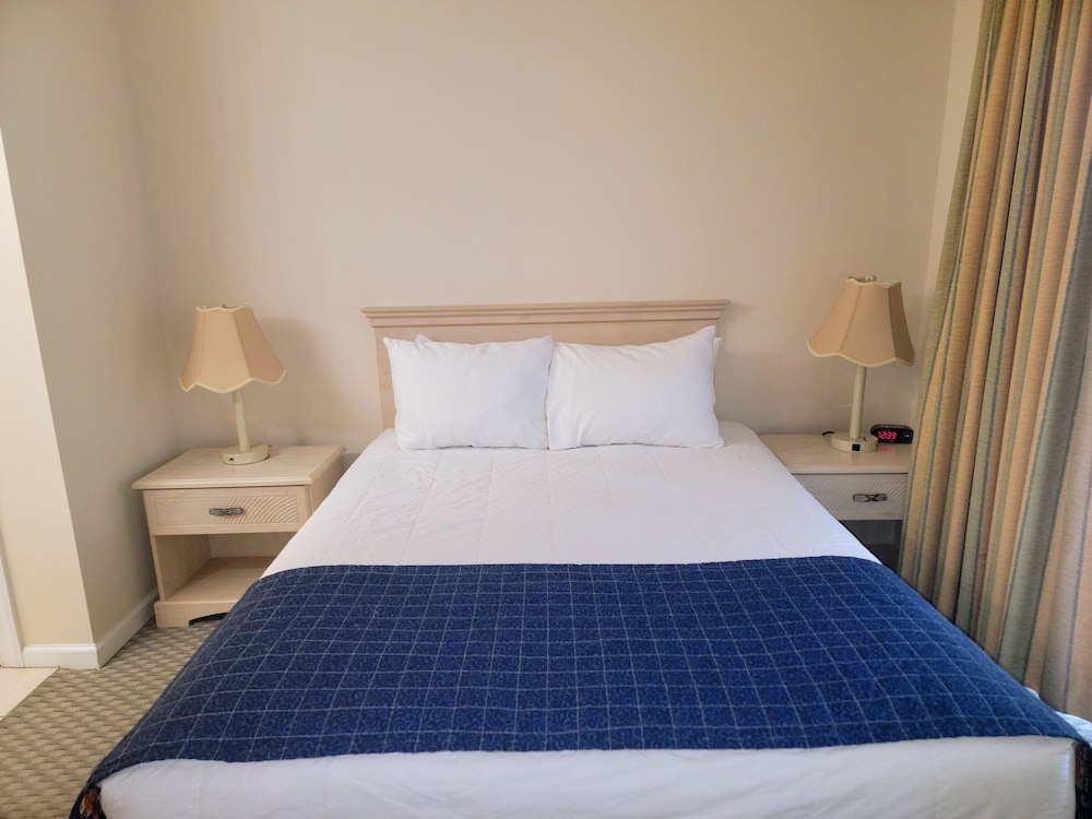 Standard Studio Suite, 1 Queen Bed with Sofa bed photo 2