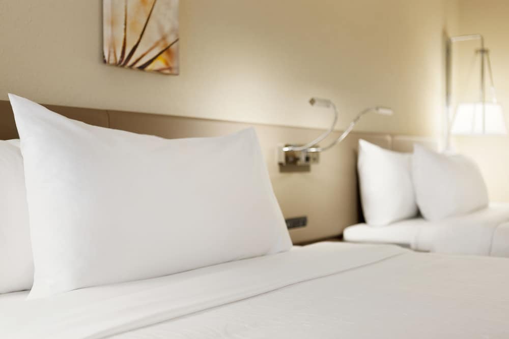 ADA Accessible Room, 2 Queen Beds, Accessible (Roll-In Shower)