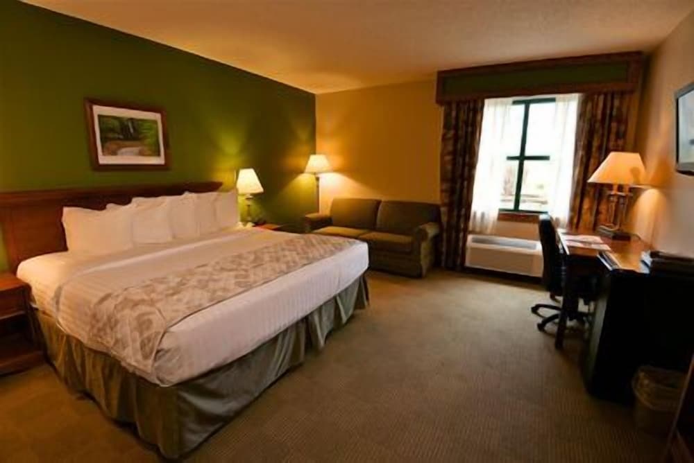 Room, 1 King Bed photo 2