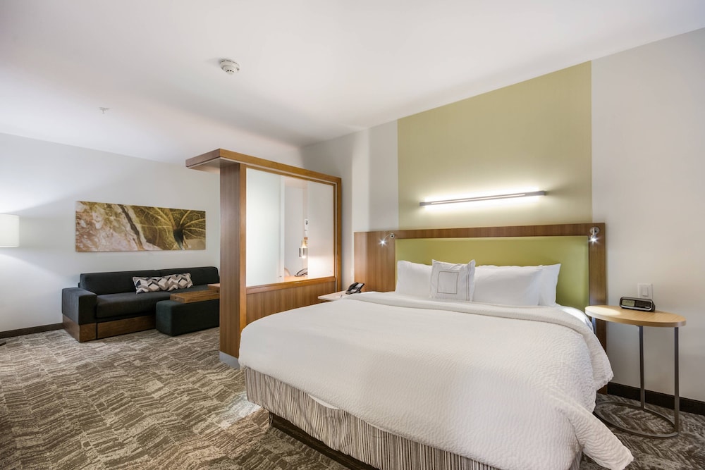 Suite, 1 King Bed with Sofa bed (Mobility/Hearing Accessible, Tub) photo 3