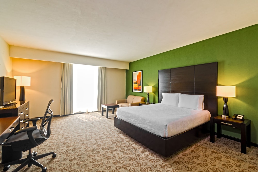 Comfort Room, 1 King Bed, Accessible - Photo 7
