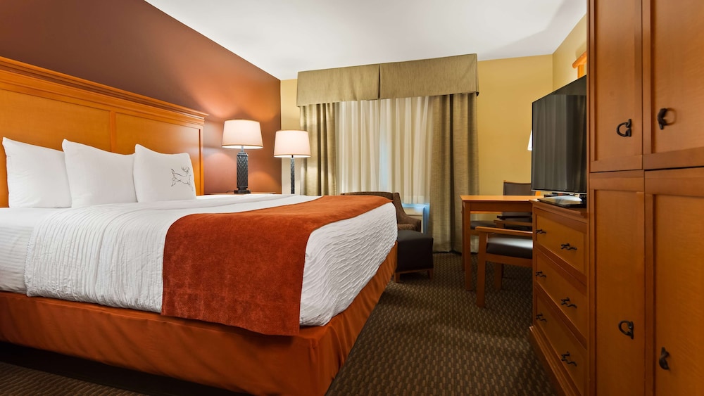 Suite, 1 King Bed, Non Smoking, Kitchenette (with Sofabed) photo 2