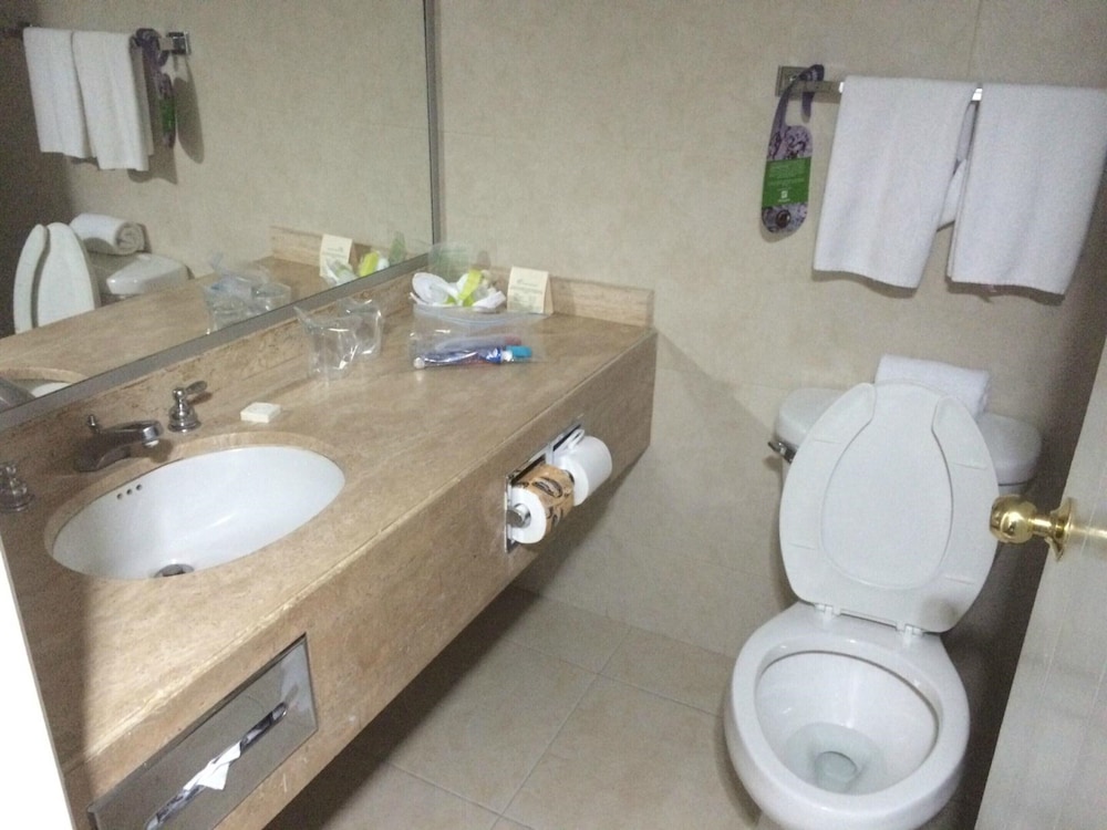 Suite, 1 King Bed - Photo 2