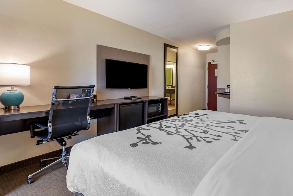 Standard Room, 1 King Bed, Non Smoking - Photo 2