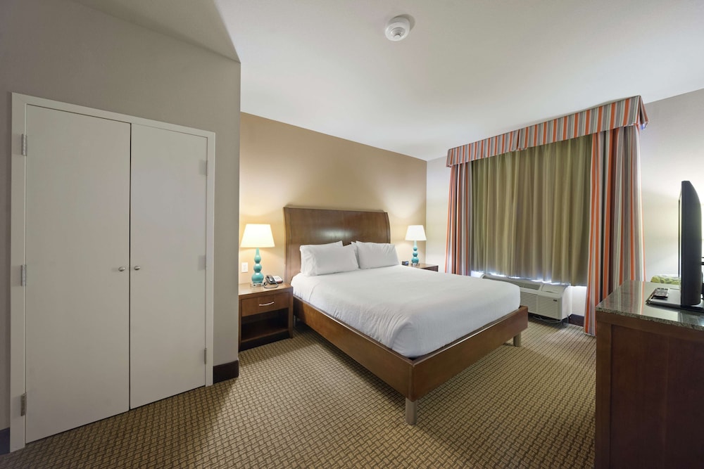Suite, 1 King Bed photo 3