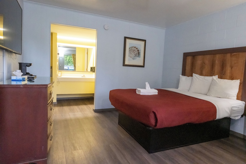 Standard Single Room, 1 Queen Bed, Non Smoking, Refrigerator & Microwave