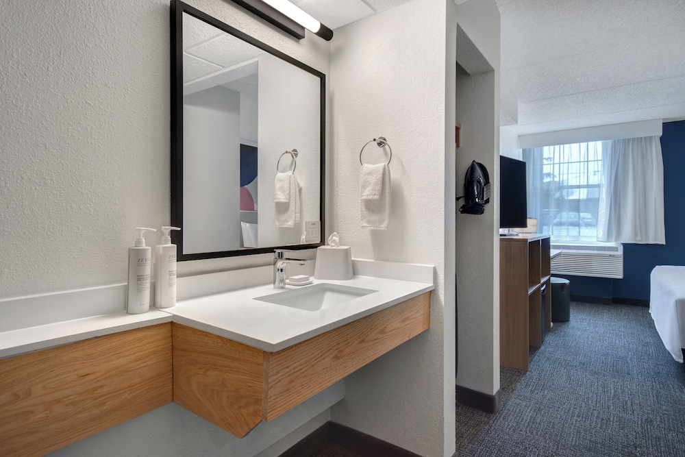 Room, 1 King Bed, Accessible (Roll-In Shower) - Photo 7