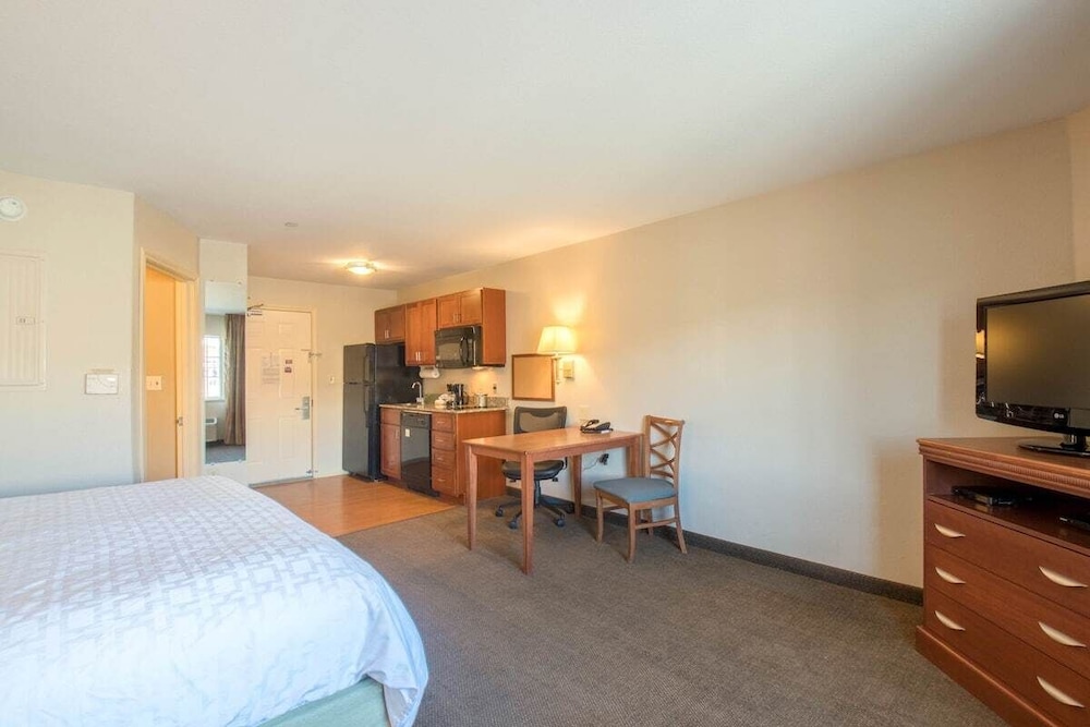 Western Slope suiter, Bilde 3