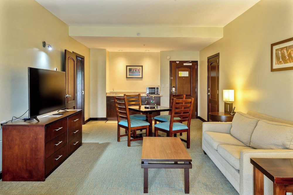 Suite, 1 King Bed with Sofa bed photo 2