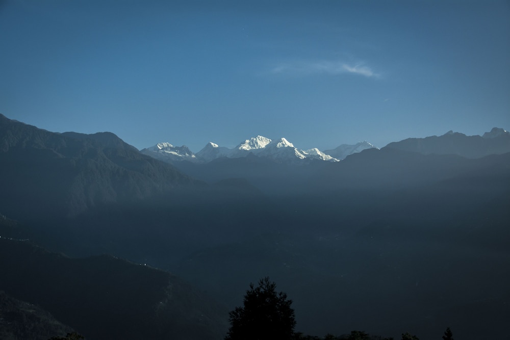 Premium Valley Facing with Balcony - Photo 3
