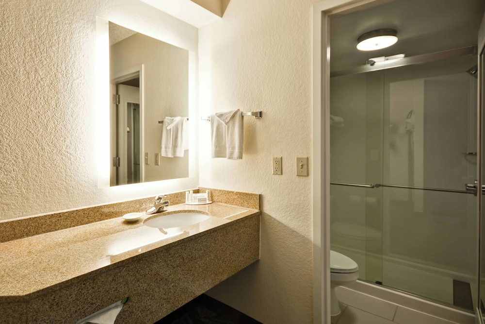 Suite, 1 Queen Bed
