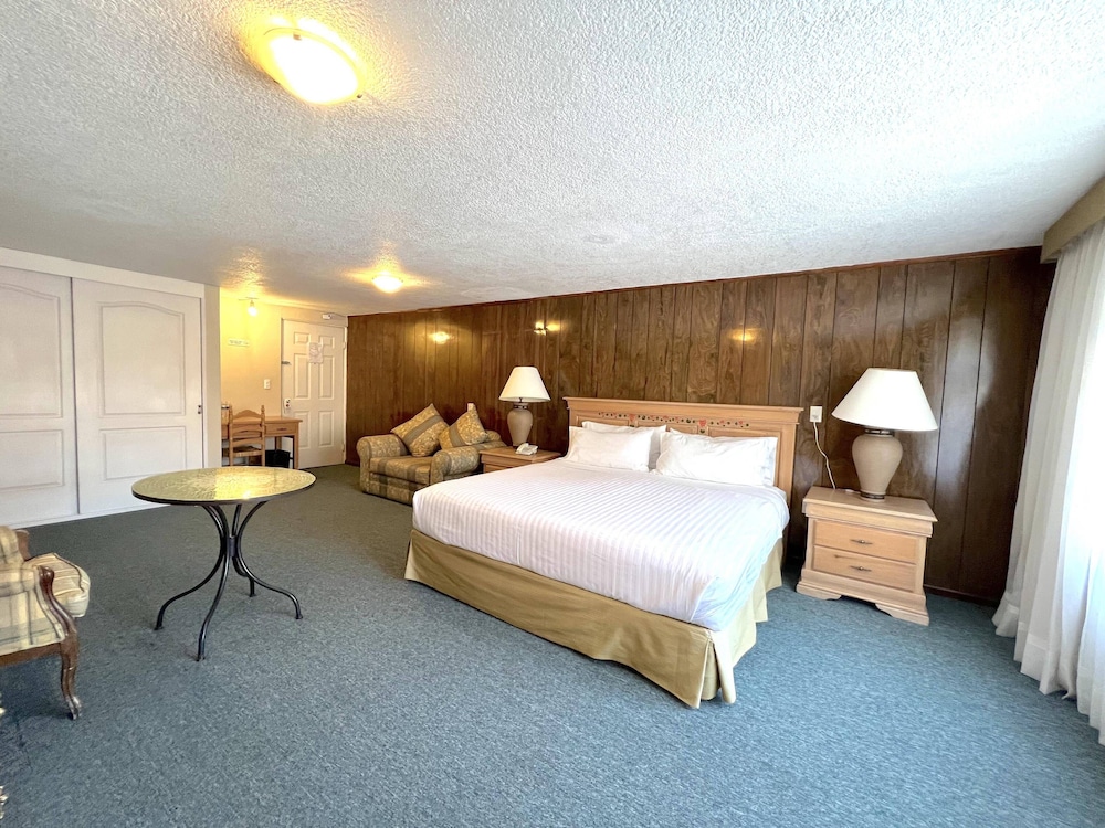 Superior Studio Suite photo 1