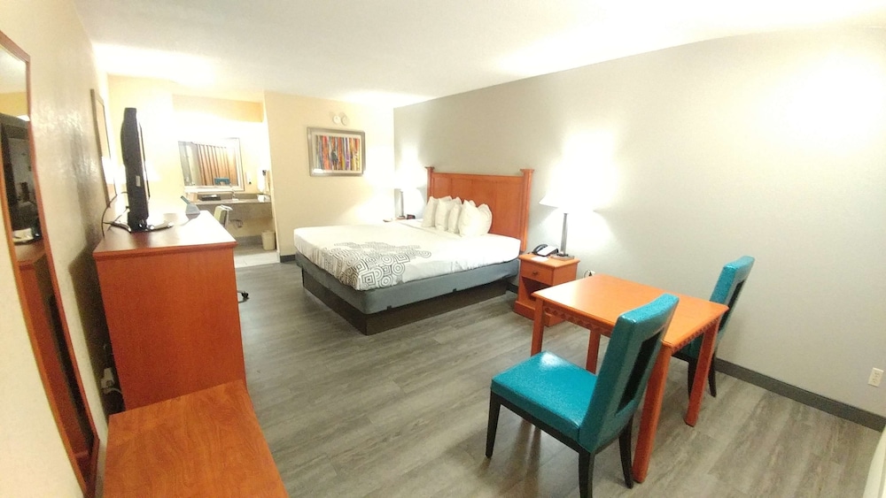 Standard Room, 1 King Bed, Non Smoking, Refrigerator & Microwave (Pet Friendly) - Photo 3