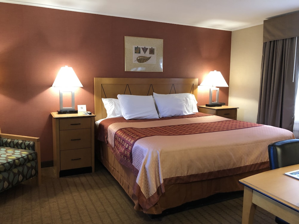 Standard Room, 1 King Bed, Non Smoking, Jetted Tub photo 3