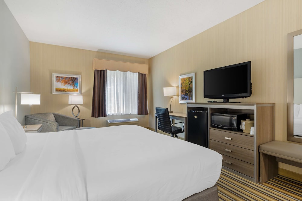 Standard Room, 1 King Bed, Non Smoking, Microwave - Photo 2