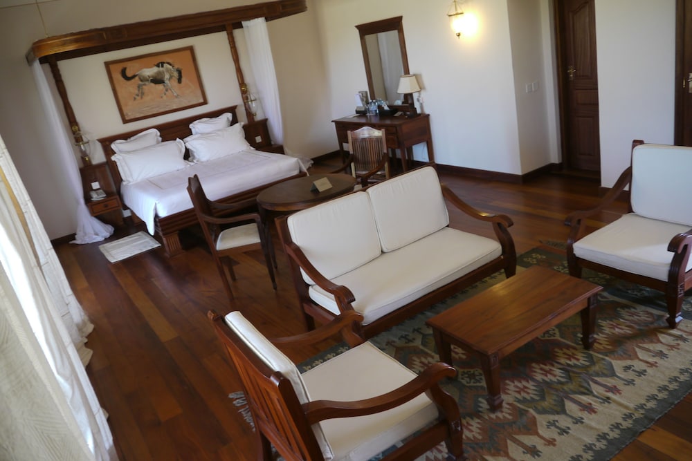 Suite - Photo 5