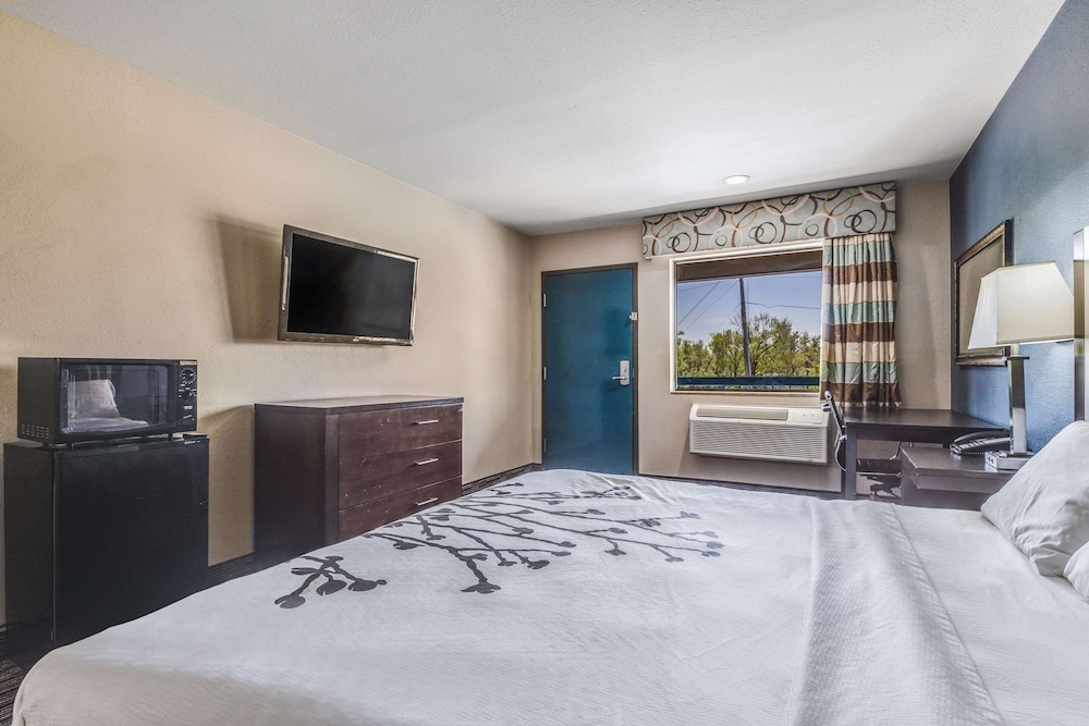 Room, 1 King Bed, Accessible, Non Smoking - Photo 4