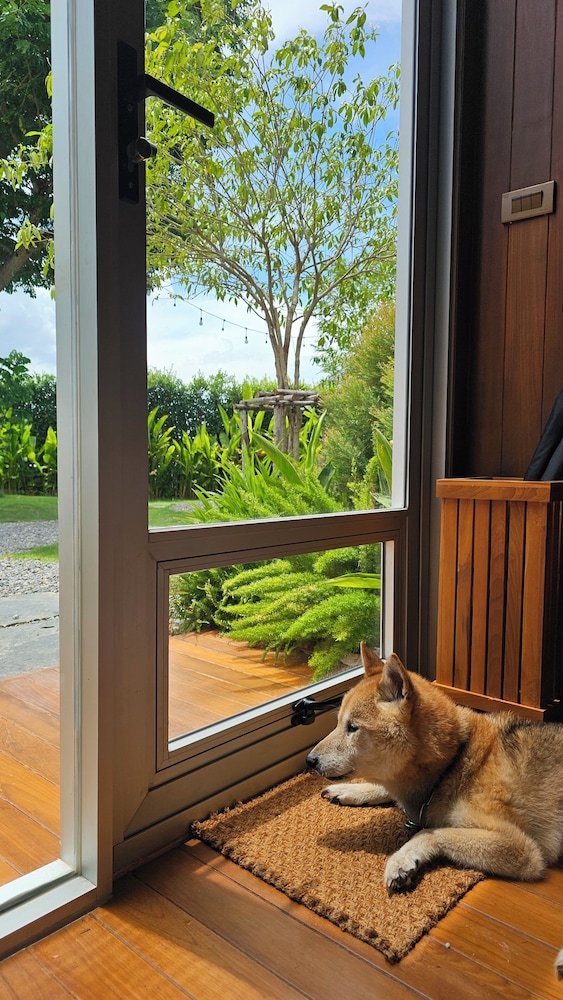 Comfort Cabin, Non Smoking, Garden View photo 3