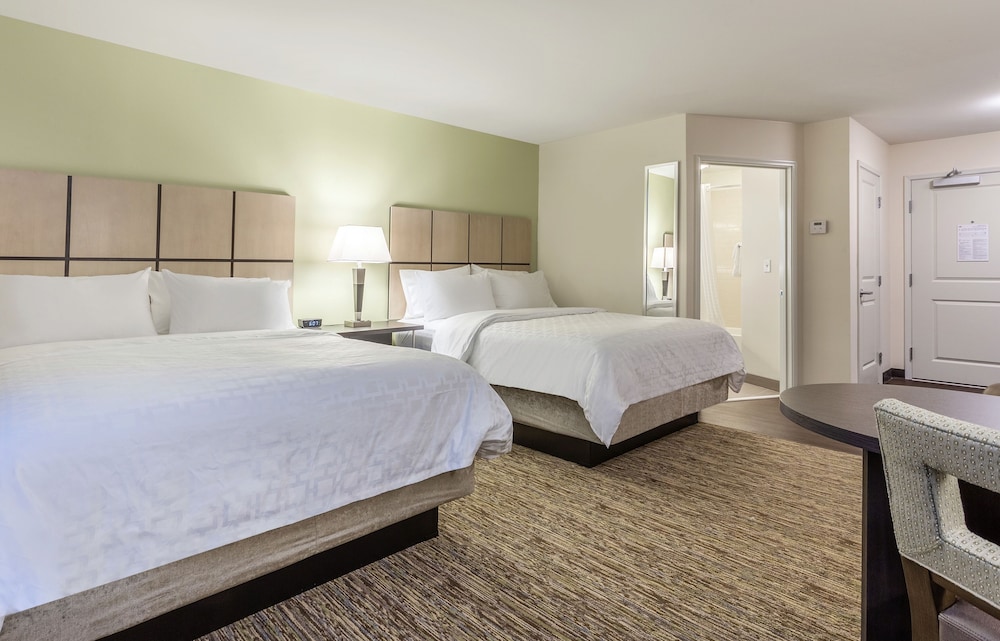 Studio Suite, 2 Queen Beds, Accessible, Non Smoking (Communications) photo 2