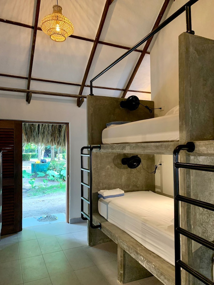 Basic Shared Dormitory photo 3