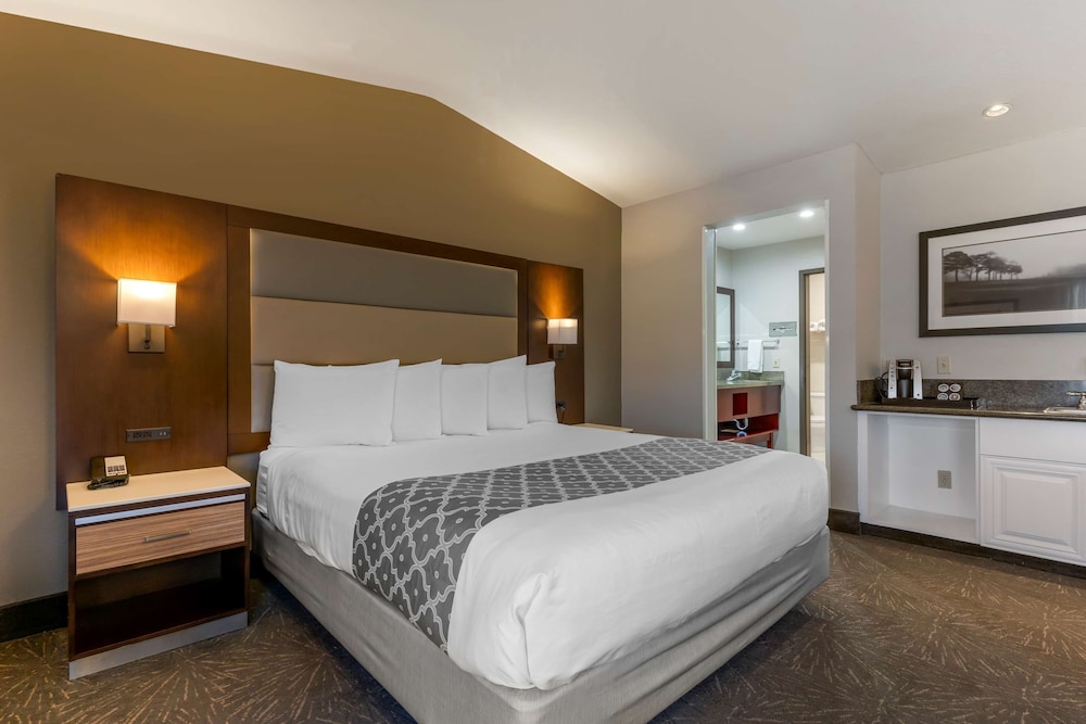 Executive Room, 1 King Bed, Non Smoking, Jetted Tub (With Sofabed) - Photo 2